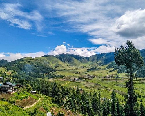 “Family tour to Bhutan from Hasimara railway station with best travel deals, scenic views, and cultural experiences.”