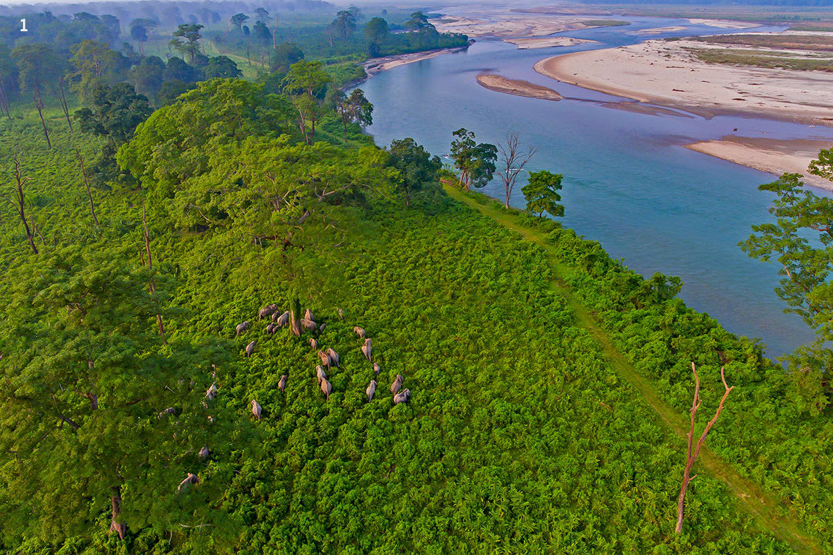 Jaldapara wildlife tour near the Bhutan border featuring elephants, rhinos, and lush forest landscapes for nature lovers.”